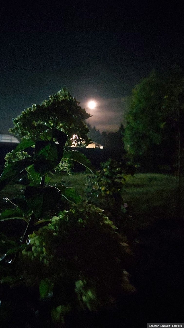 Лето в деревне. Бабушка и дед Костика Валеник