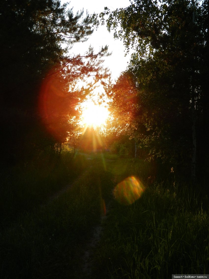 Лето в деревне. Бабушка и дед Костика Валеник