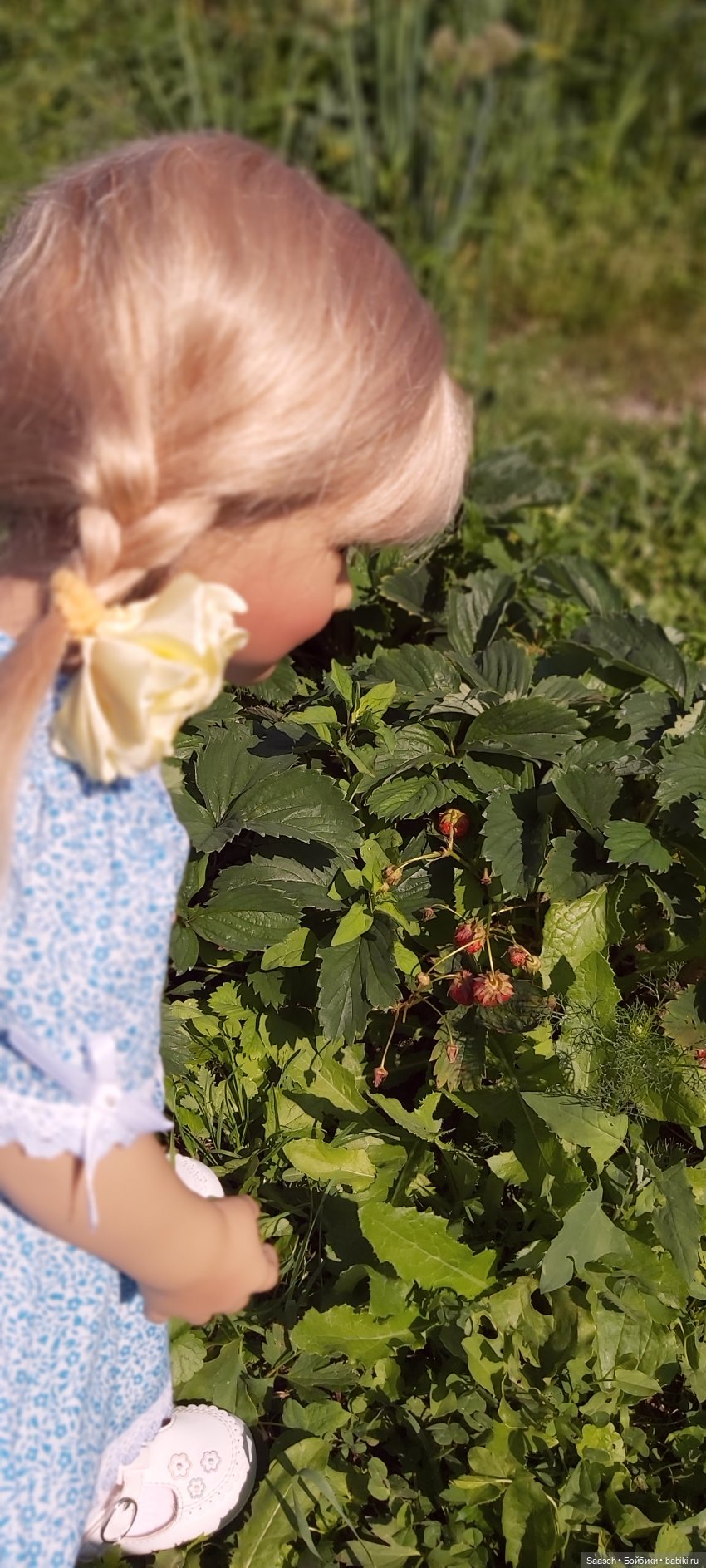 Дженни "незабудка". Первый раз на даче
