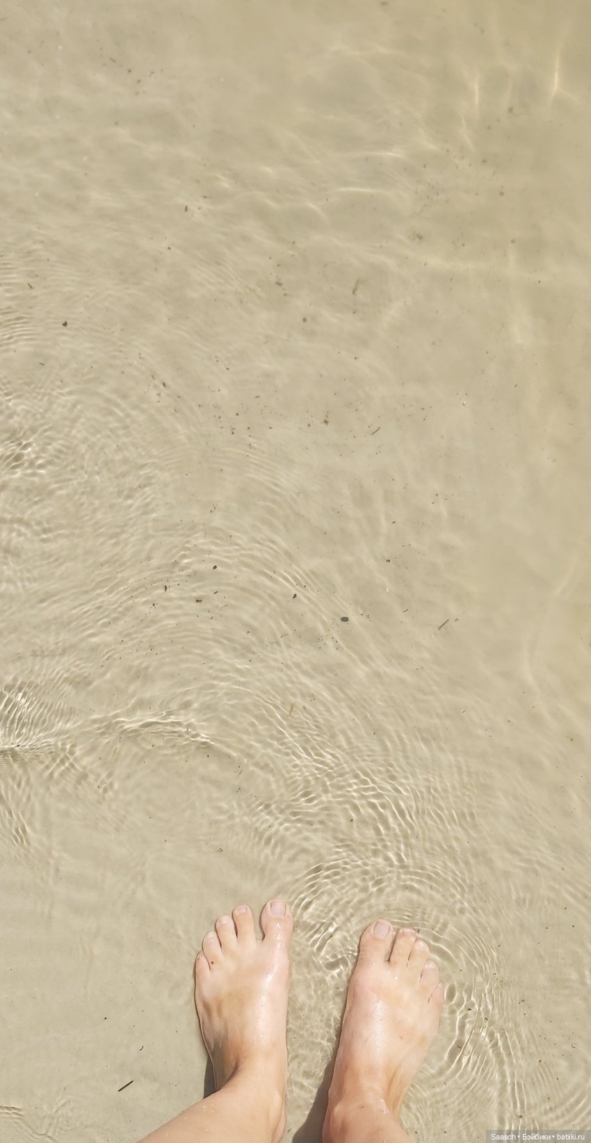 Алина — Куклы Sieglinde Frieske (Фриске): Schildkrot