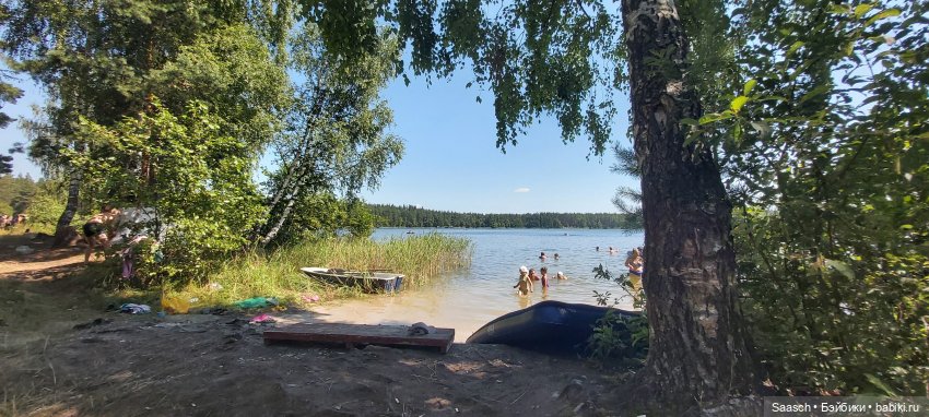 Алина — Куклы Sieglinde Frieske (Фриске): Schildkrot (фото 10)