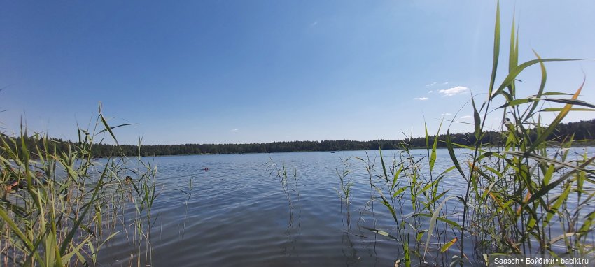 Алина — Куклы Sieglinde Frieske (Фриске): Schildkrot (фото 9)