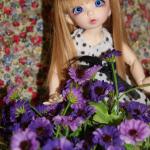 Девочка BJD Littlefee