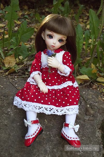 бжд, FairlyLand, Rolly