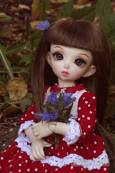 бжд, FairlyLand, Rolly