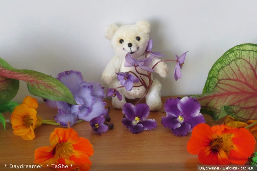 Мои первые Мишки-тедди готовы к знакомству