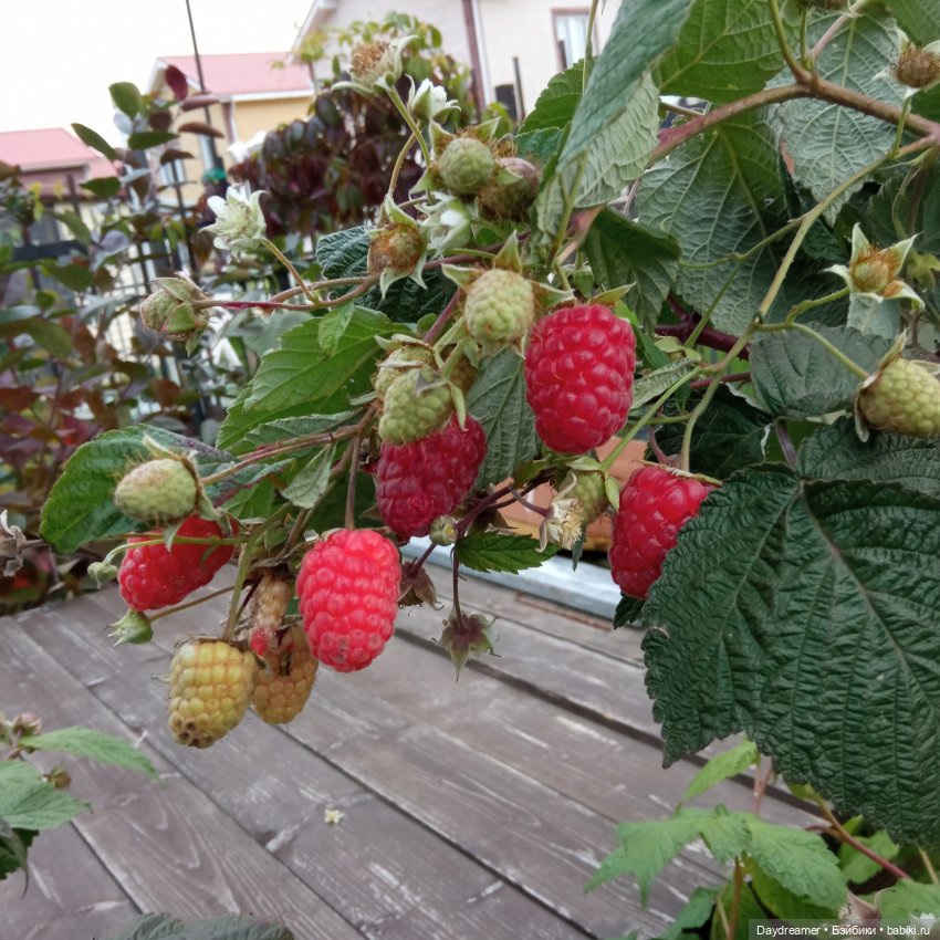 24 сентября 2021г.