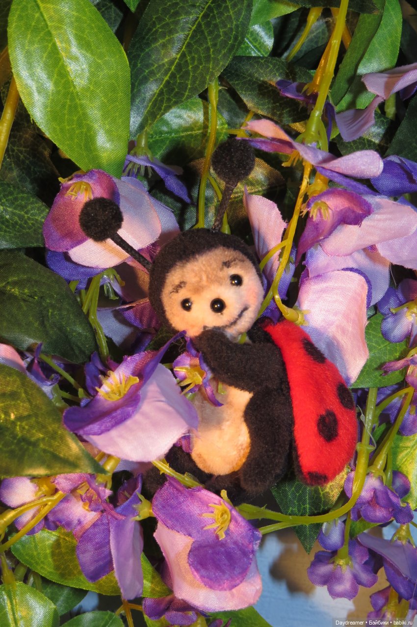 Привет от Трикси!