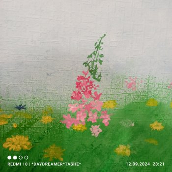 Новенькая веснушка. МирАся