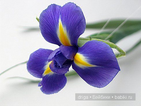 Кошечка "Бурлеск" — Текстильные игрушки и примитивы: кофейные (фото 9)