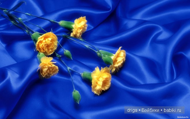 Кошечка "Бурлеск" — Текстильные игрушки и примитивы: кофейные (фото 8)