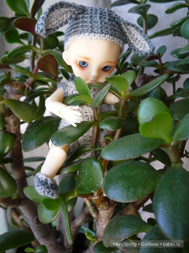 Мальчик-Кролик. BJD Hujoo Baby Suve
