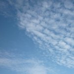 Золотая осень. Старый Оскол, Белгородская область