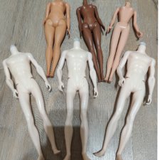 Модельные тела для куколы Кен.