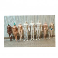 Тела для Барби, модельные тела Кена