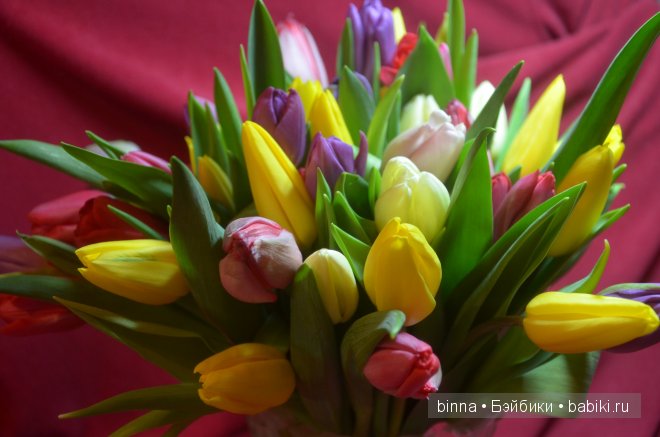 С праздником вас, дорогие кукломамы и куклодочки (фото 4)