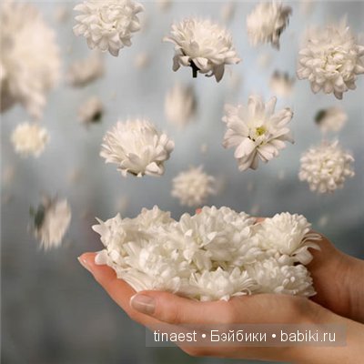 Фотосессия в подарок! Часть-3. Sophia и Ballerina. Куклы от Моники Левениг из моей коллекции