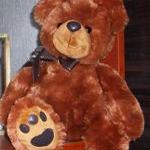 Обитатели этажерки