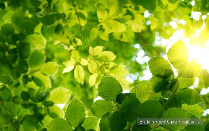 Платье цвета лета для Натали Baby Face от Galoob (фото 3)