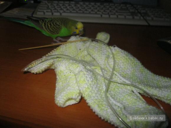 Мишка и зайка к вам в гости пришли