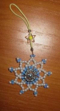 Вальс снежинок | Бэйбики Вальс снежинок — Другие хобби и увлечения: сад (фото 7)