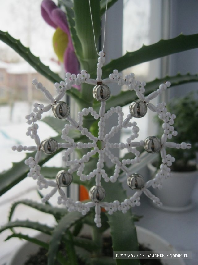 Вальс снежинок — Другие хобби и увлечения: сад (фото 3)