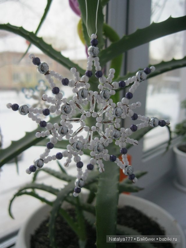 Вальс снежинок — Другие хобби и увлечения: сад (фото 4)