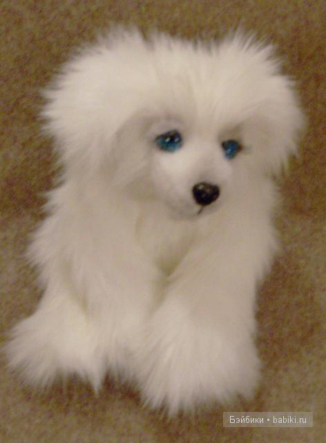 собачка Снежка