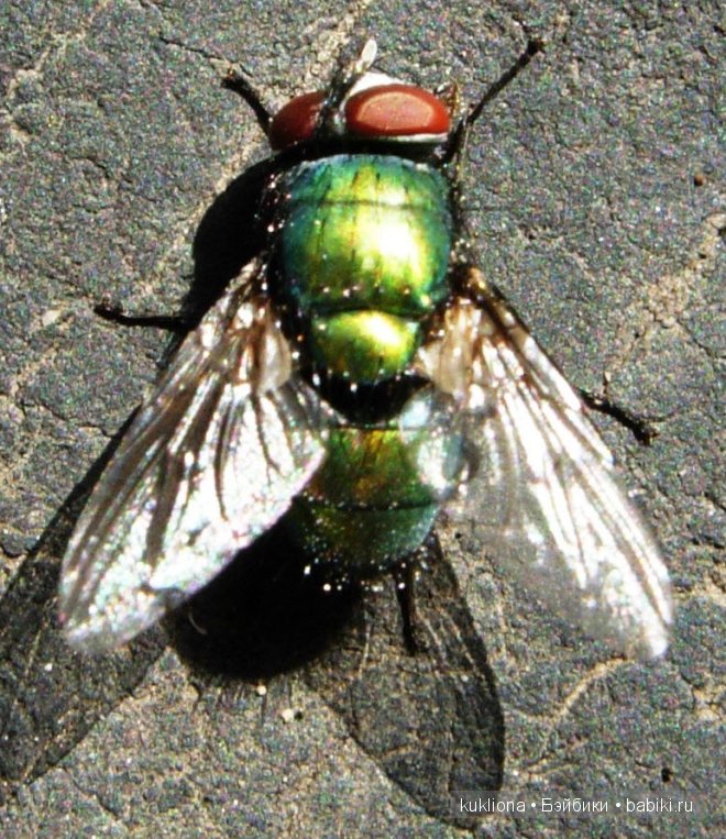 Отпуск.Часть 3. Подготовка автомобиля к поездке. Кукла Mareike Kidz ‘n’ Cats, Sonja Hartmann (фото 9)