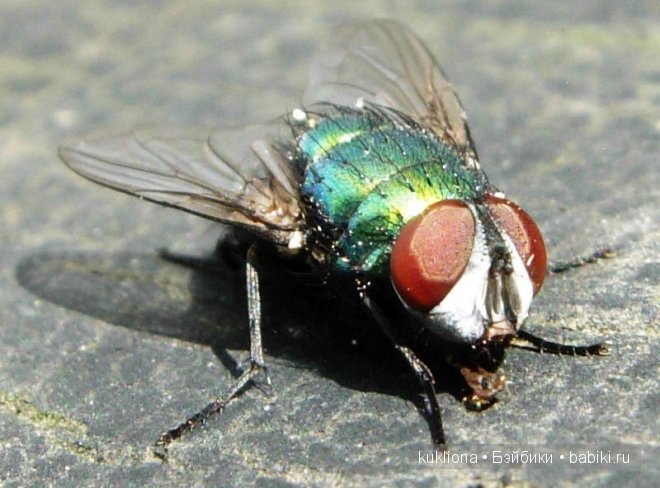 Отпуск.Часть 3. Подготовка автомобиля к поездке. Кукла Mareike Kidz ‘n’ Cats, Sonja Hartmann (фото 10)