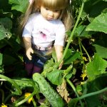 Дачные дни отпуска. Часть 1. Mareike Kidz ‘n’ Cats, Sonja Hartmann