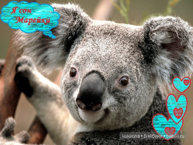 Mareike, Sonja Hartmann