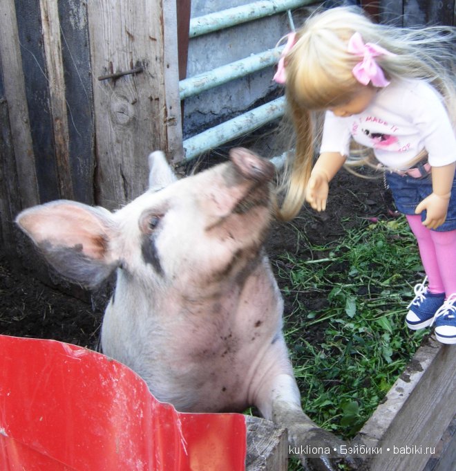 Сон в руку! Отпуск. Mareike Kidz ‘n’ Cats, Sonja Hartmann