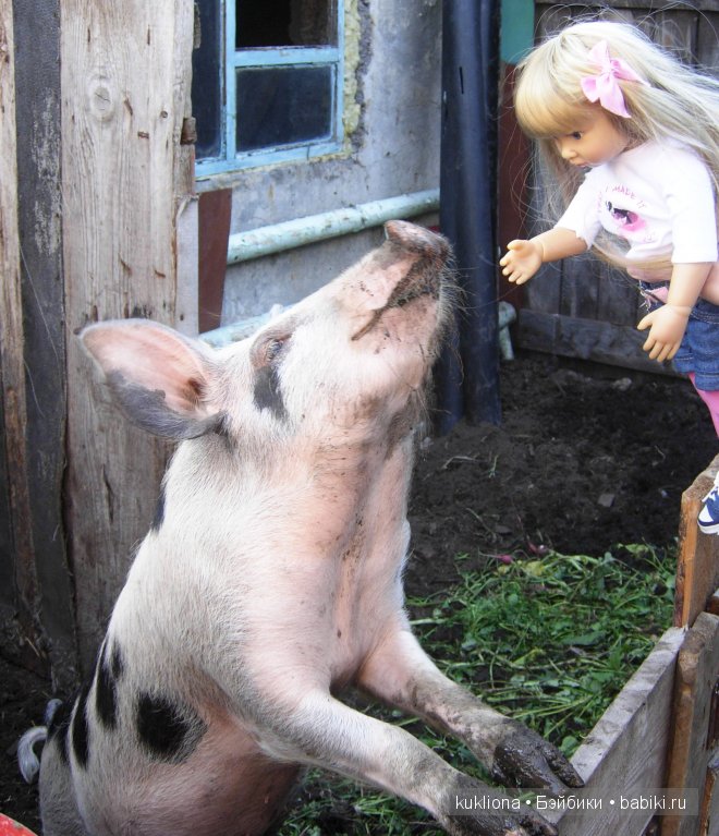 Сон в руку! Отпуск. Mareike Kidz ‘n’ Cats, Sonja Hartmann