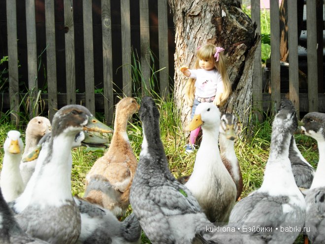 Сон в руку! Отпуск. Mareike Kidz ‘n’ Cats, Sonja Hartmann