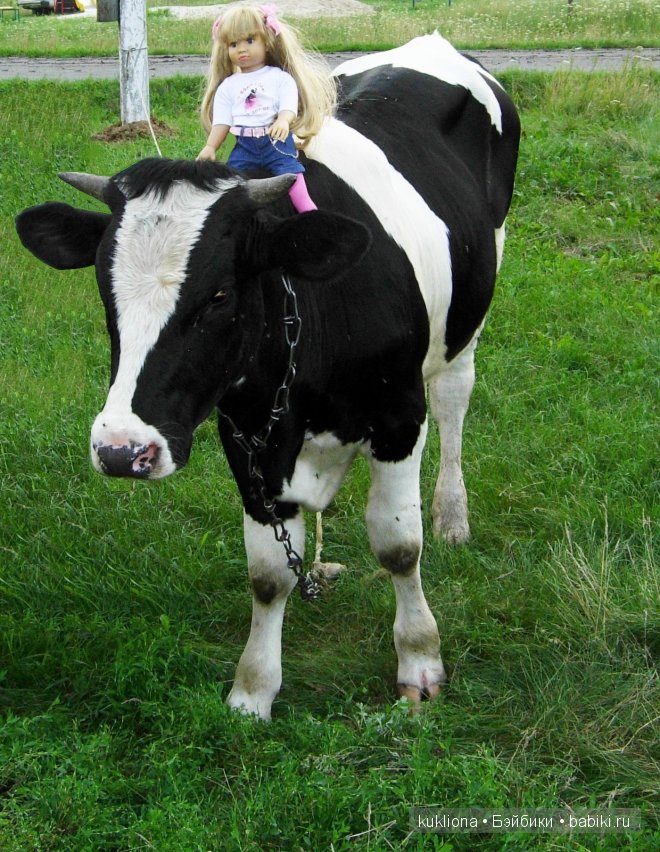 Сон в руку! Отпуск. Mareike Kidz ‘n’ Cats, Sonja Hartmann