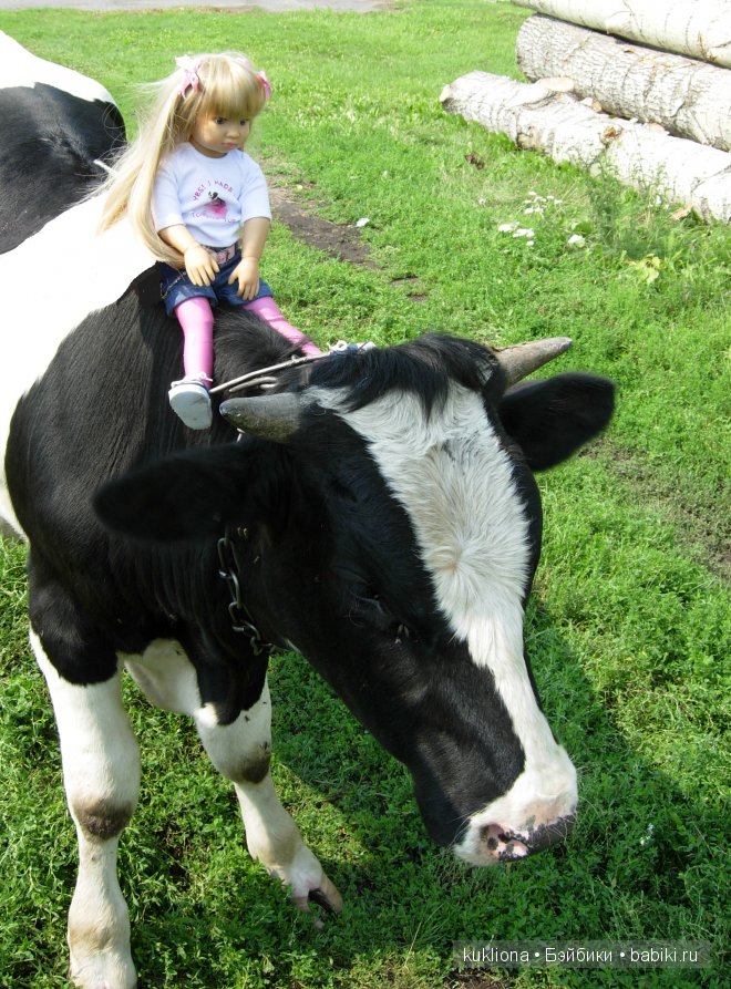 Сон в руку! Отпуск. Mareike Kidz ‘n’ Cats, Sonja Hartmann