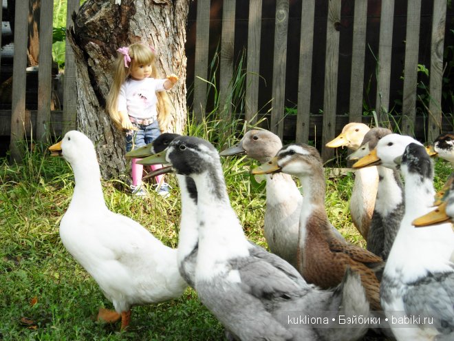 Сон в руку! Отпуск. Mareike Kidz ‘n’ Cats, Sonja Hartmann