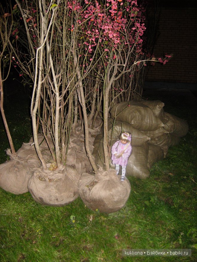 Как Хелен улицы озеленяла! Кукла Helen Kidz ‘n’ Cats, Sonja Hartmann (фото 8)