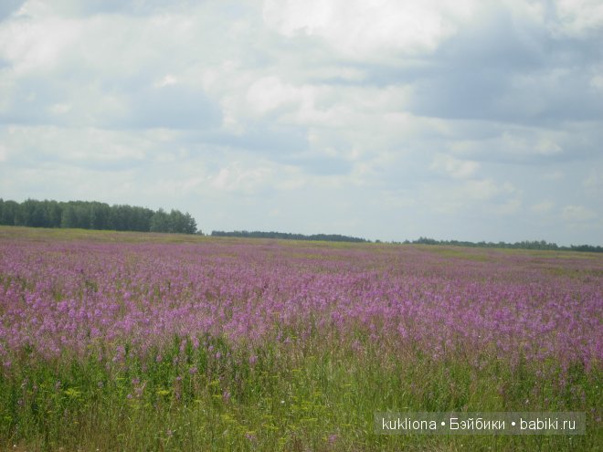 Марейка и полевые цветы. Кукла Mareike Kidz‘n’Cats, Sonja Hartmann (фото 3)