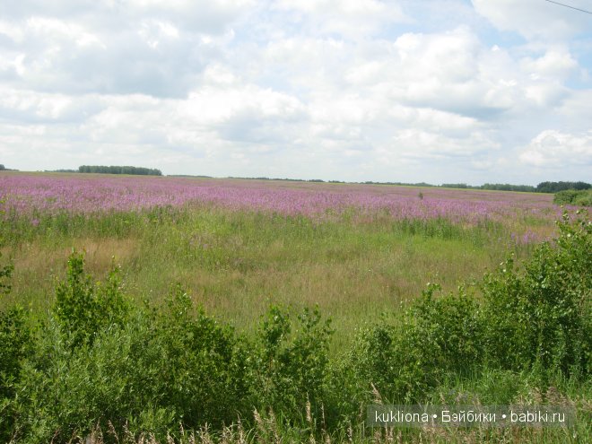 Марейка и полевые цветы. Кукла Mareike Kidz‘n’Cats, Sonja Hartmann (фото 4)
