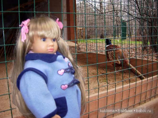 Марейка на Воробьевых горах. Часть 3. "Про петуха, курицу, фазана, его жену, их дитё, ..." Кукла Mareike Kidz‘n’Cats, Sonja