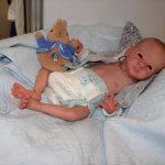 Куклы реборн на IV Московской международной выставке кукол в Гостином дворе