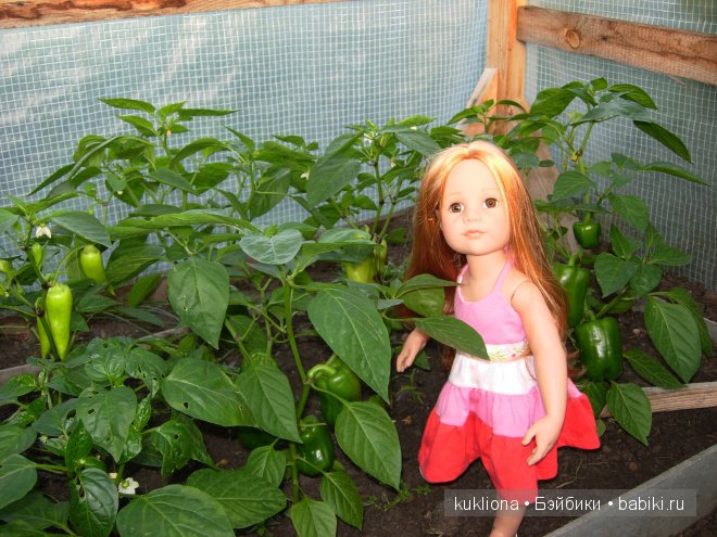 Во саду ли, в огороде. Стефания собирает урожай. Кукла Ханна на прогулке 2012 Gotz Hanna and her dog | Бэйбики Во саду ли, в огороде. Стефания собирает урожай. Кукла Ханна на прогулке 2012 Gotz Hanna and her dog (фото 9)