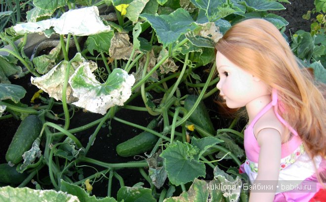 Во саду ли, в огороде. Стефания собирает урожай. Кукла Ханна на прогулке 2012 Gotz Hanna and her dog | Бэйбики Во саду ли, в огороде. Стефания собирает урожай. Кукла Ханна на прогулке 2012 Gotz Hanna and her dog
