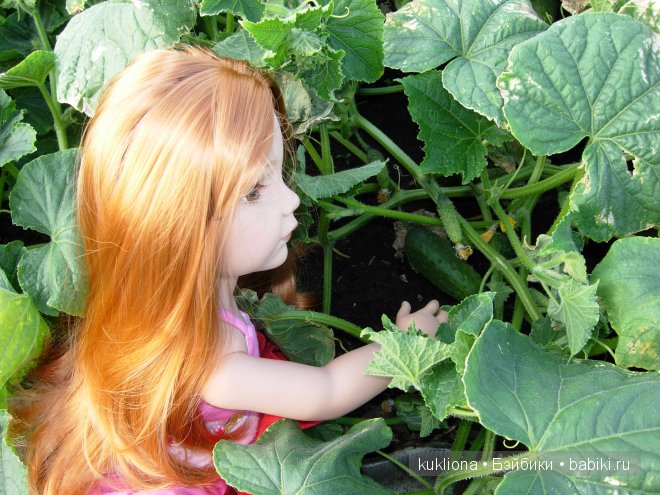 Во саду ли, в огороде. Стефания собирает урожай. Кукла Ханна на прогулке 2012 Gotz Hanna and her dog | Бэйбики Во саду ли, в огороде. Стефания собирает урожай. Кукла Ханна на прогулке 2012 Gotz Hanna and her dog