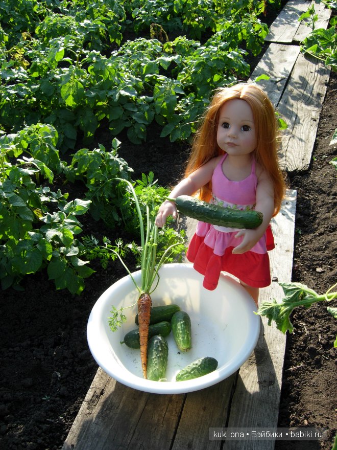 Во саду ли, в огороде. Стефания собирает урожай. Кукла Ханна на прогулке 2012 Gotz Hanna and her dog | Бэйбики Во саду ли, в огороде. Стефания собирает урожай. Кукла Ханна на прогулке 2012 Gotz Hanna and her dog