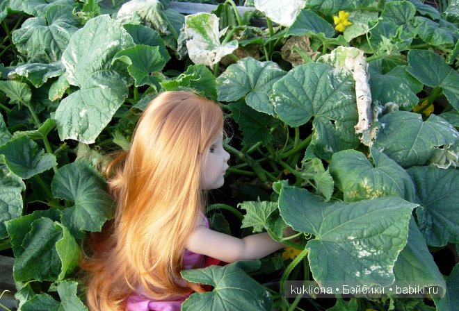 Во саду ли, в огороде. Стефания собирает урожай. Кукла Ханна на прогулке 2012 Gotz Hanna and her dog | Бэйбики Во саду ли, в огороде. Стефания собирает урожай. Кукла Ханна на прогулке 2012 Gotz Hanna and her dog