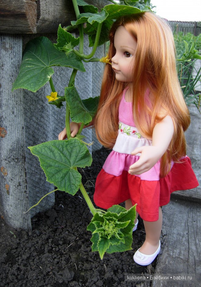 Во саду ли, в огороде. Стефания собирает урожай. Кукла Ханна на прогулке 2012 Gotz Hanna and her dog | Бэйбики Во саду ли, в огороде. Стефания собирает урожай. Кукла Ханна на прогулке 2012 Gotz Hanna and her dog