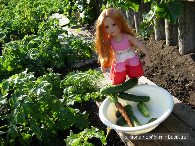 Во саду ли, в огороде. Стефания собирает урожай. Кукла Ханна на прогулке 2012 Gotz Hanna and her dog | Бэйбики Во саду ли, в огороде. Стефания собирает урожай. Кукла Ханна на прогулке 2012 Gotz Hanna and her dog